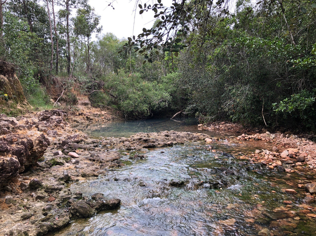 Cardwell Forest Drive-卡德威尔必去景点
