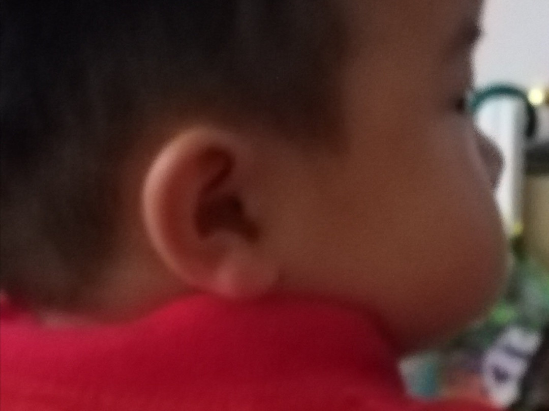 回家孩子野奢度假屋主图