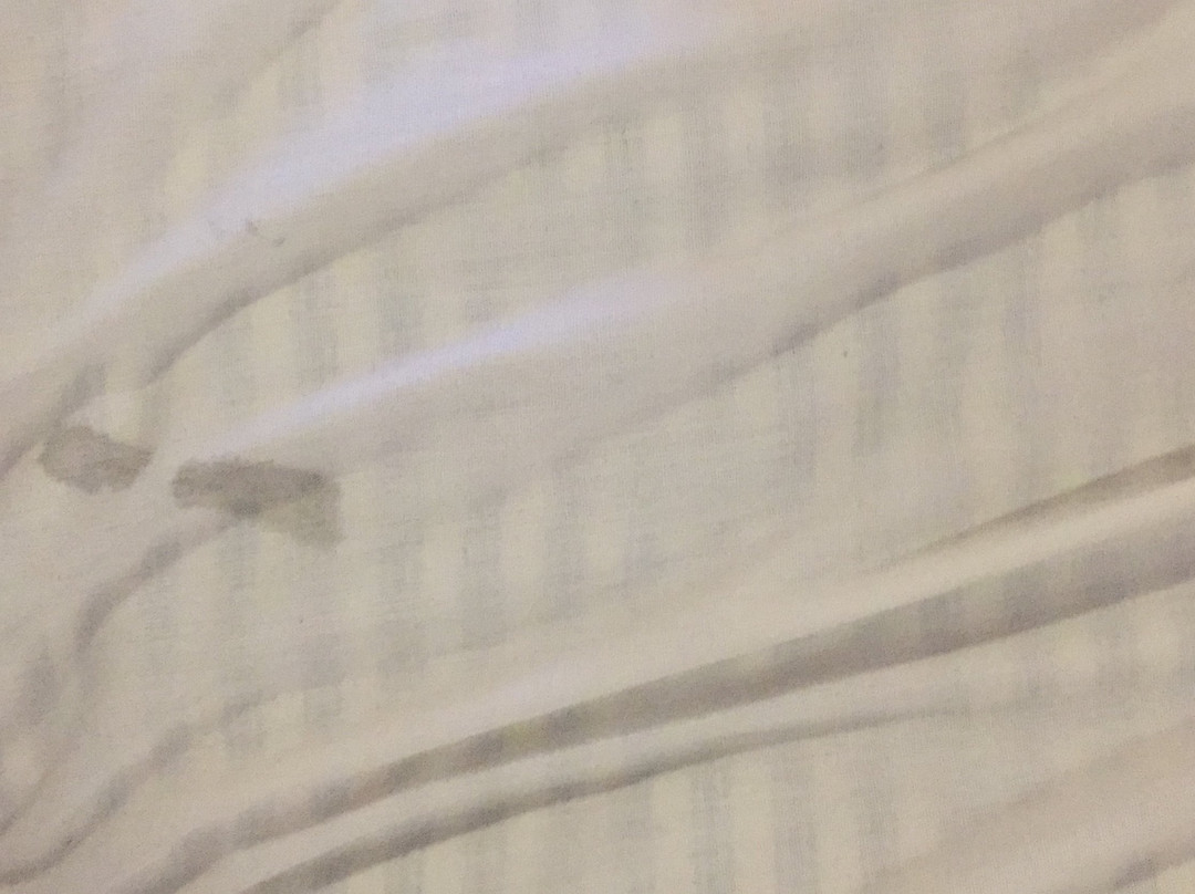 Palette - Pluz Resort主图