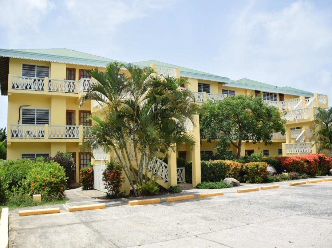 Virgin Gorda Village主图