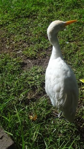 Birds of Eden-The Crags必去景点