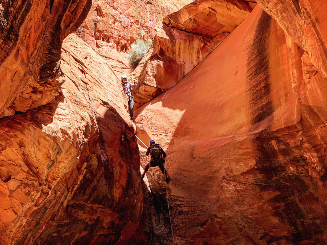Capitol Reef Adventure Company... Adventure Guides!-Teasdale必去景点