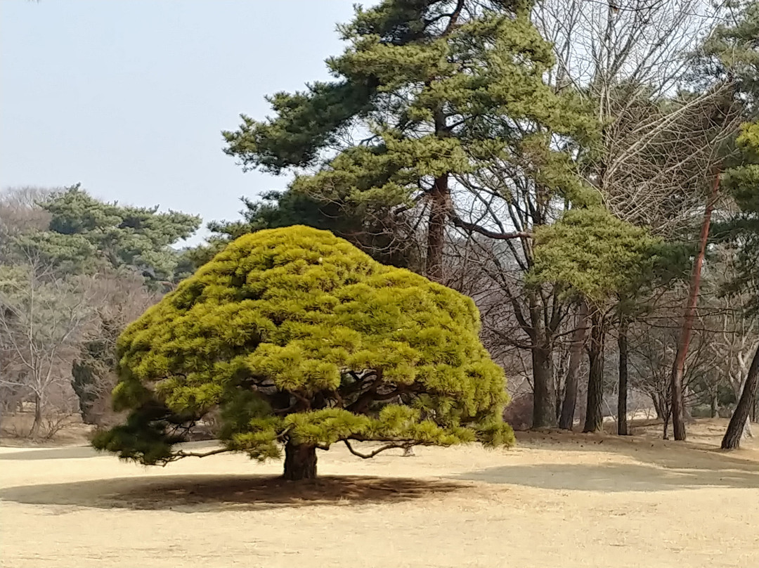 Hyeonchungsa Shrine-牙山市必去景点