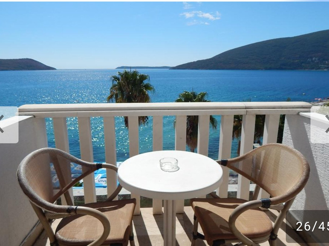 Guest House Vila Aleksandar Herceg Novi主图
