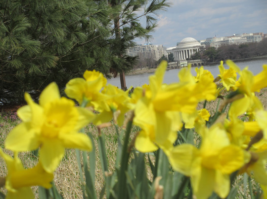 Lady Bird Johnson Park Arlington-阿灵顿必去景点