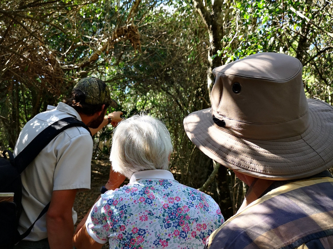 Sibuya Game Reserve: Tented Camps and Lodge主图