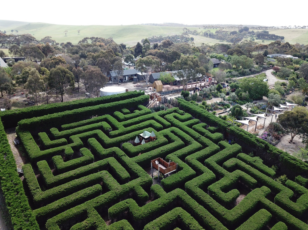 Barrabool Maze Estate景点图片