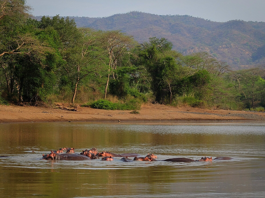 Gibe Sheleko National Park景点图片