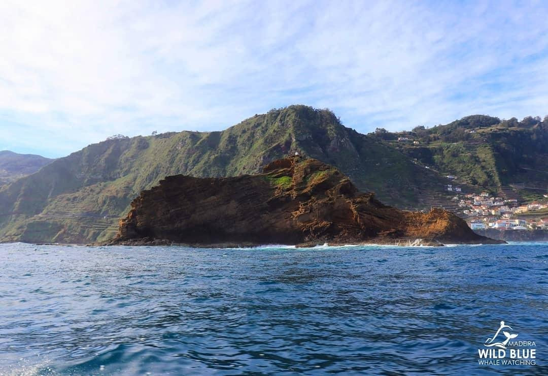 Madeira Wild Blue - Tours & W.W.