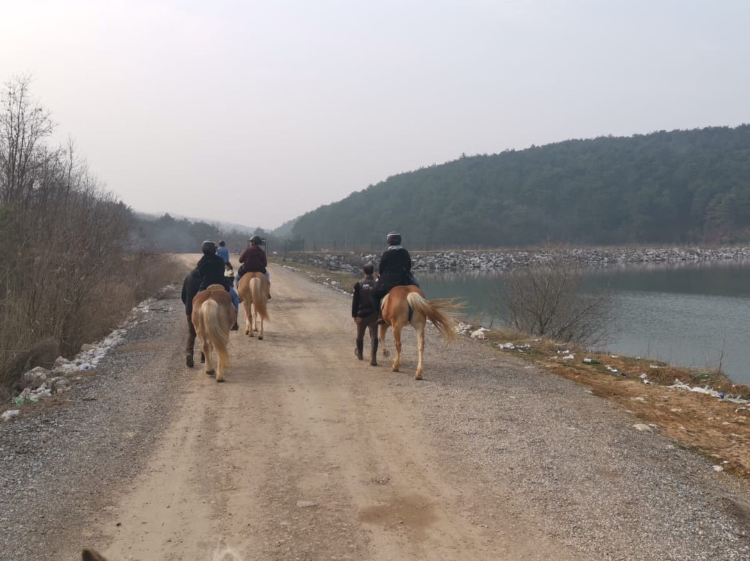 Tabiat Equestrian Center-Suekraniye必去景点