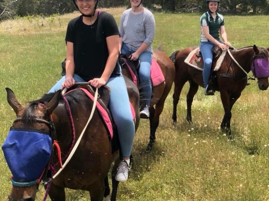 Jarrahdale Equestrian Centre景点图片