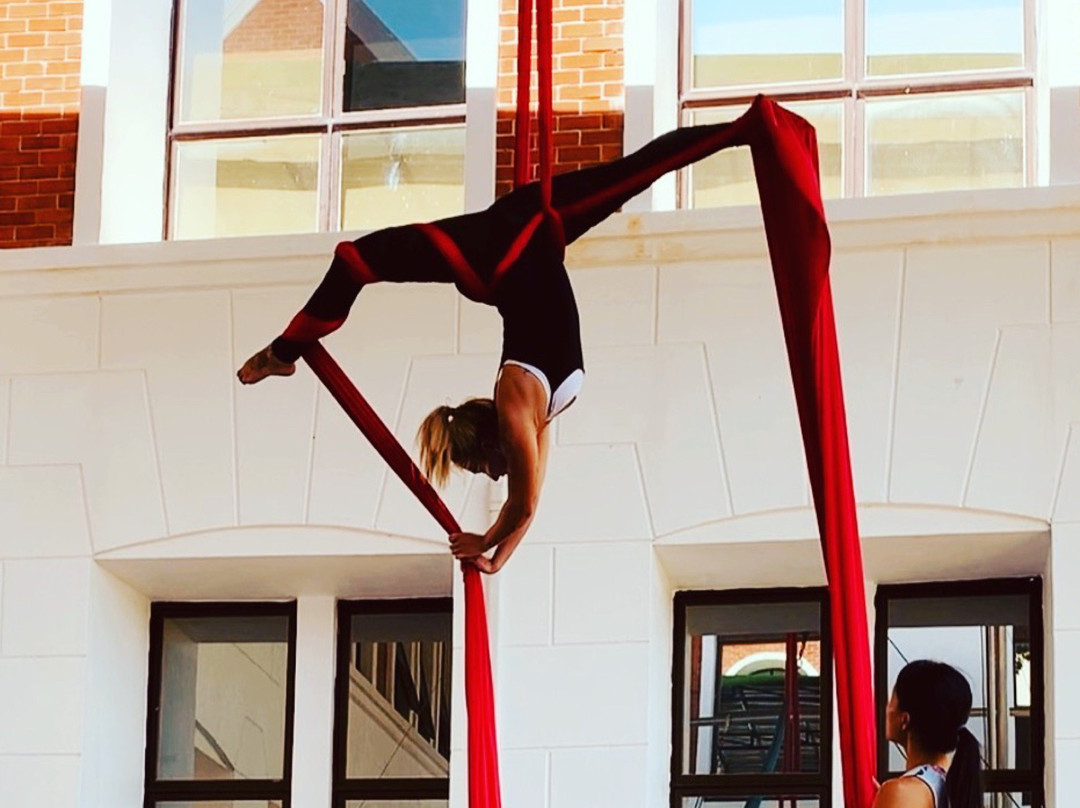 Mid Air Circus Arts’ Flying Trapeze & Circus Arts Academy景点图片
