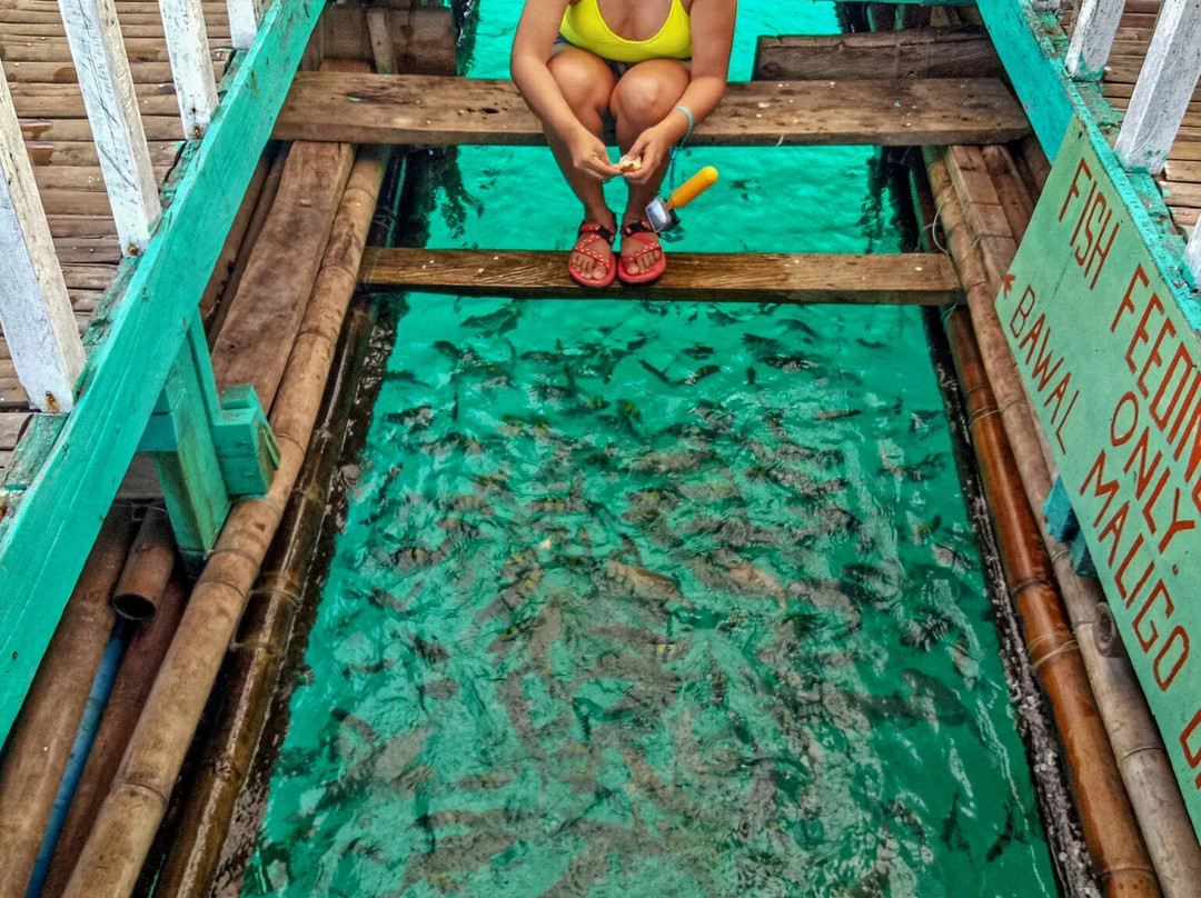 Looc Bay Marine Refuge and Sanctuary景点图片