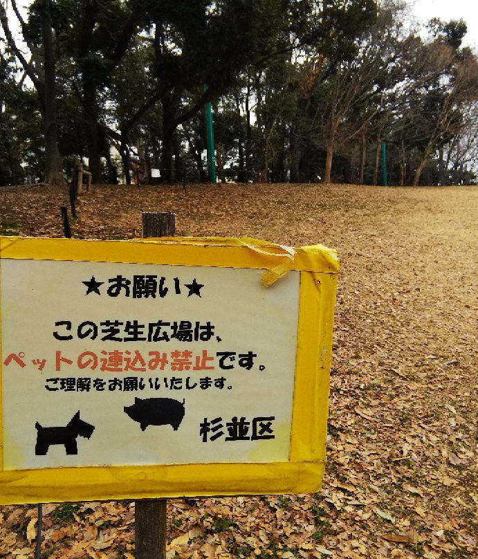 Sanshinomori Park-杉并区必去景点