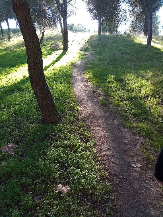 Parque Natural El Soto景点图片