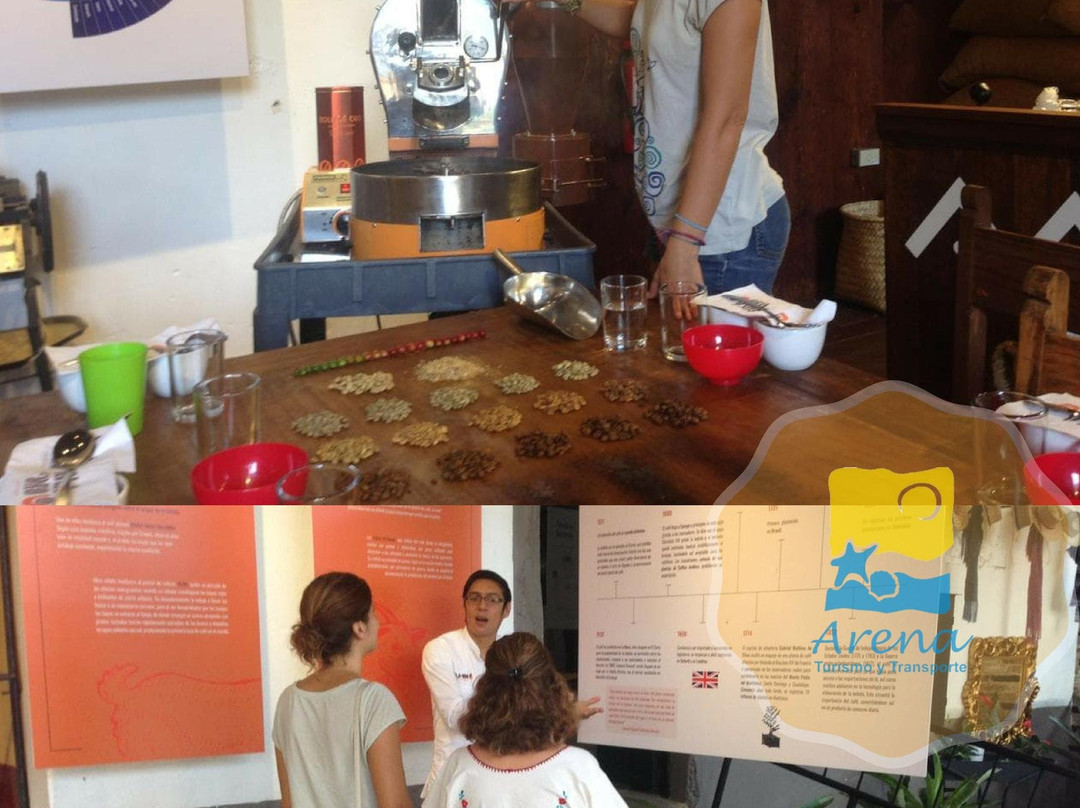 ARENA TOURS-韦拉克鲁斯必去景点