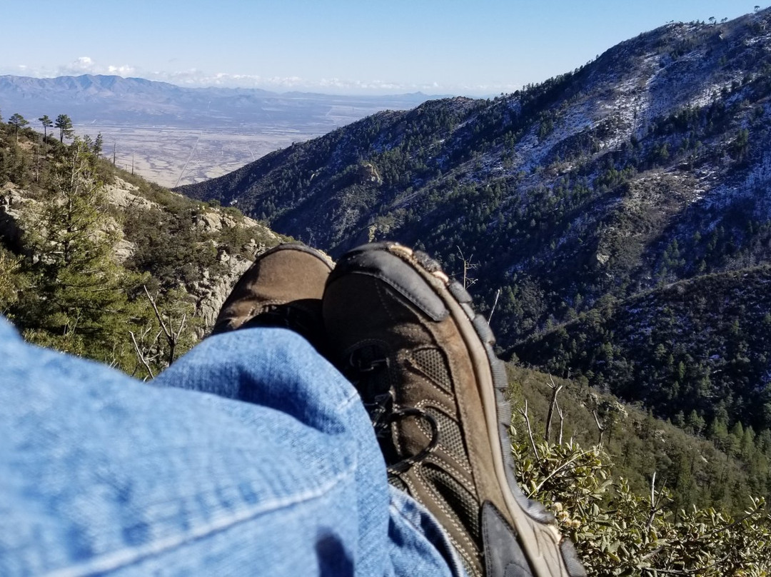 Miller Canyon景点图片