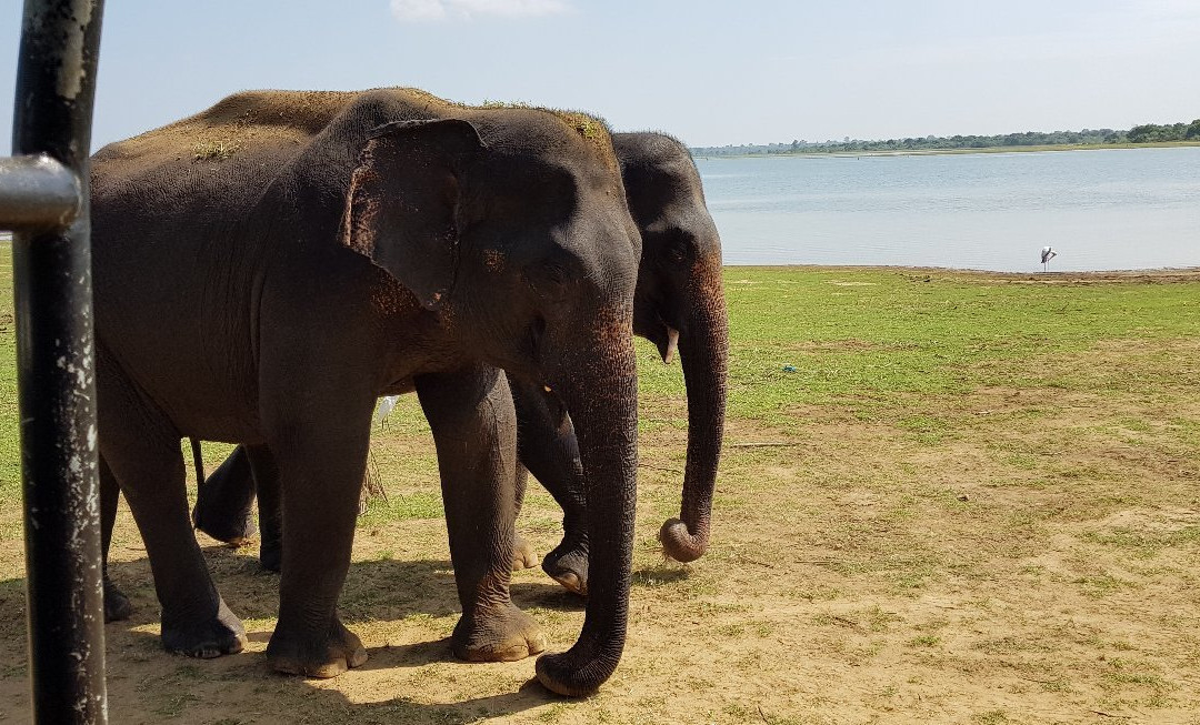 Summer Dew Tours-加勒必去景点