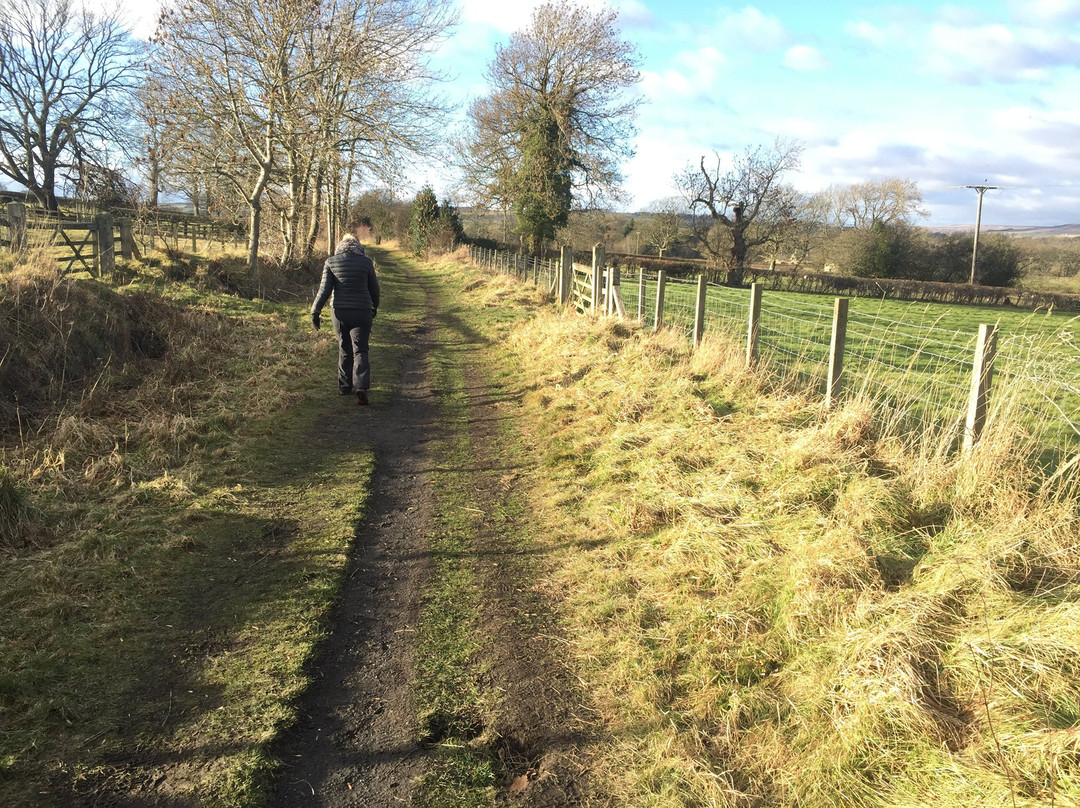 Tees Railway Path-Middleton in Teesdale必去景点