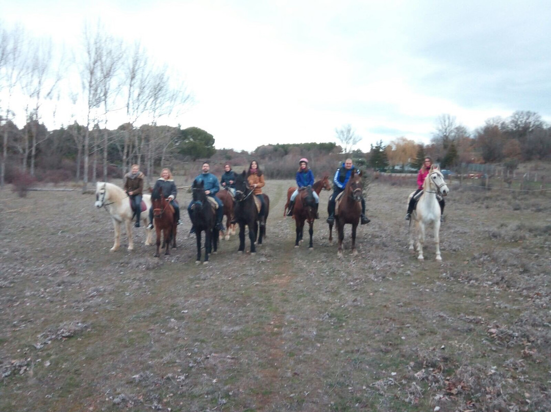 Centro Ecuestre Mirantes景点图片