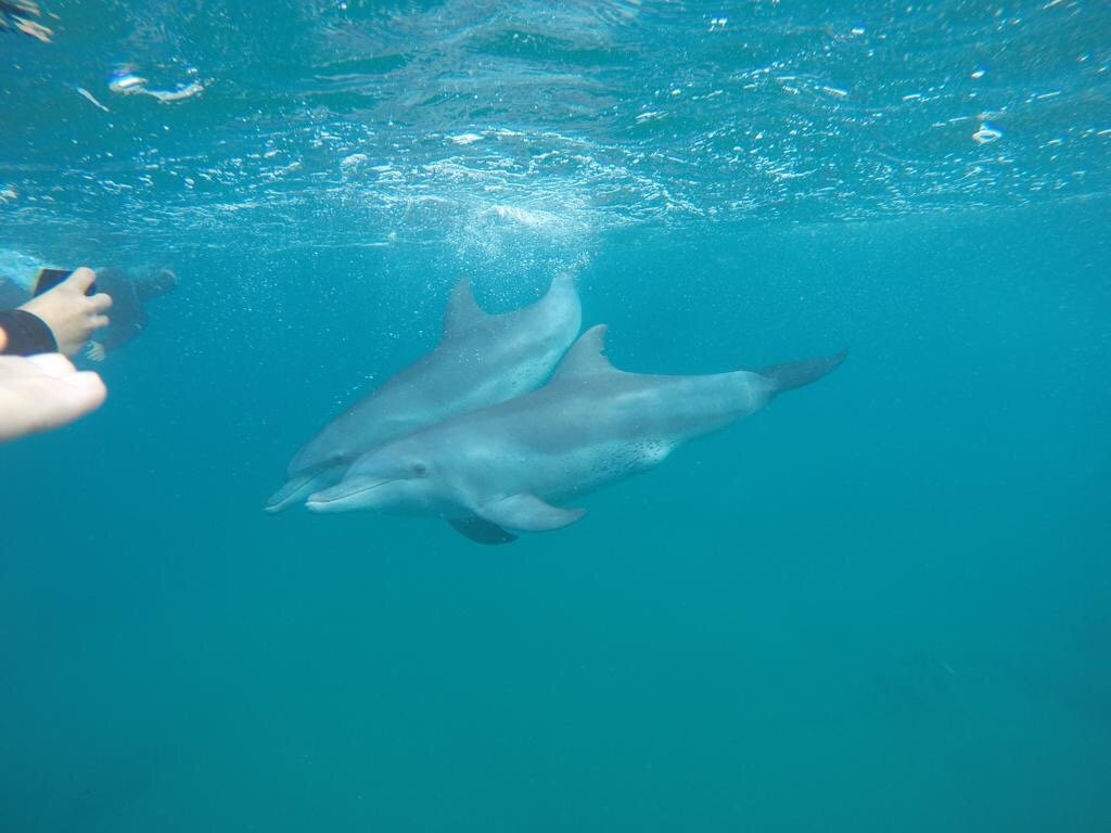 Rocktail Bay-夸祖鲁-纳托尔省必去景点