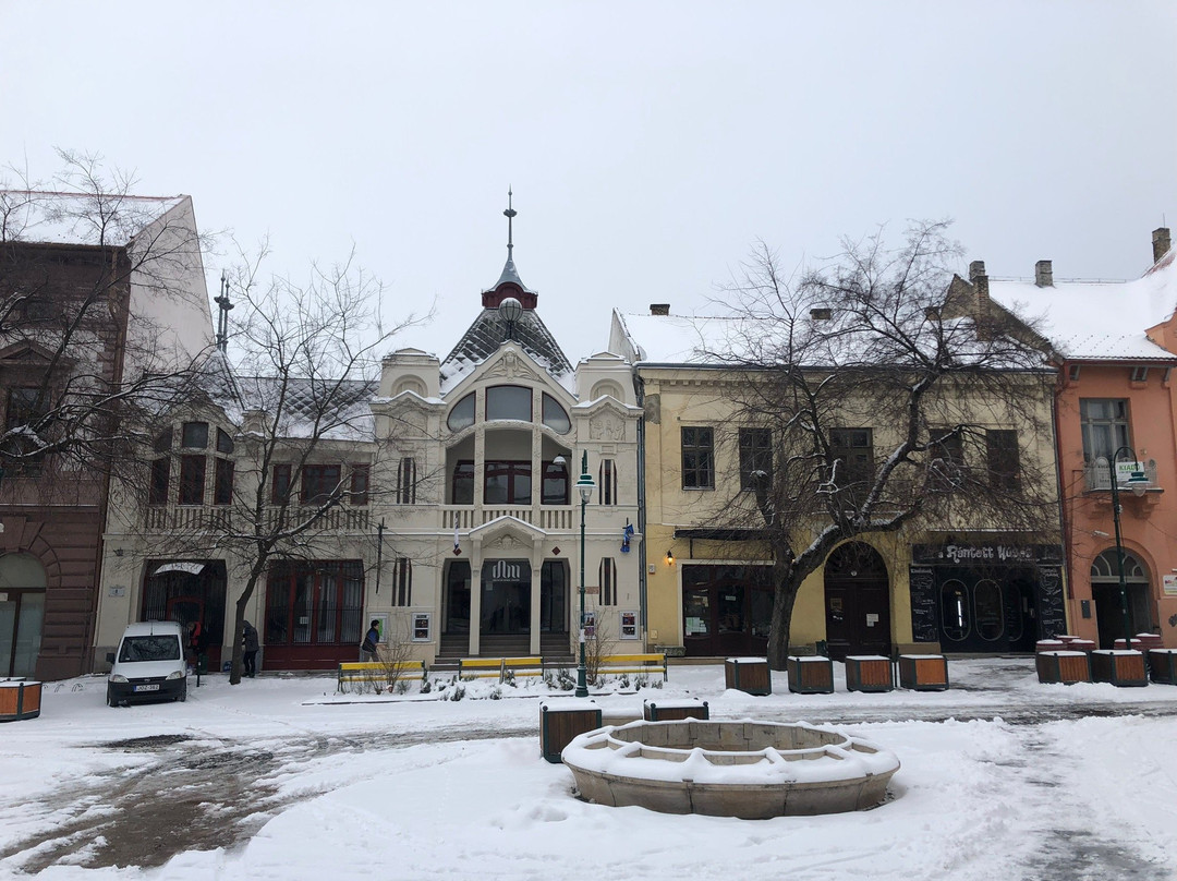 Tolna酒店住宿-Szekszard Szallo