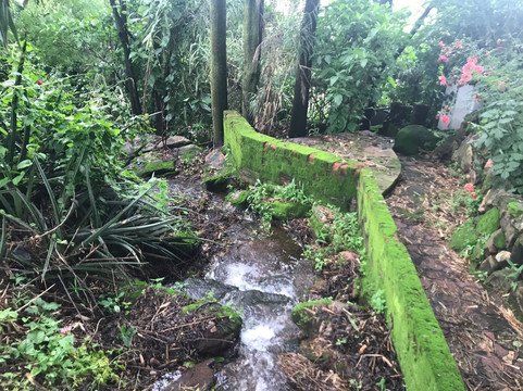 Thorn Tree Guest House主图