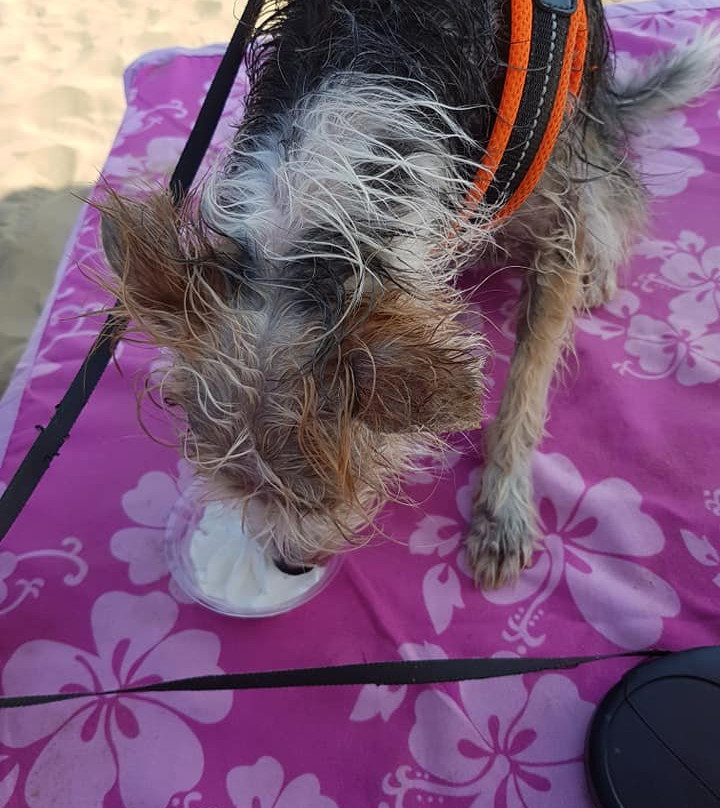 Beach 33-里米尼必去景点