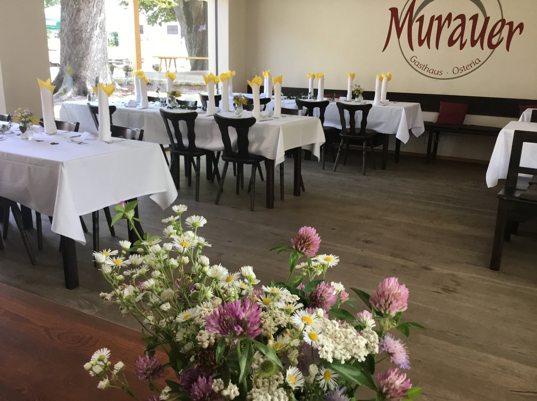 Murauer Gasthaus Osteria主图