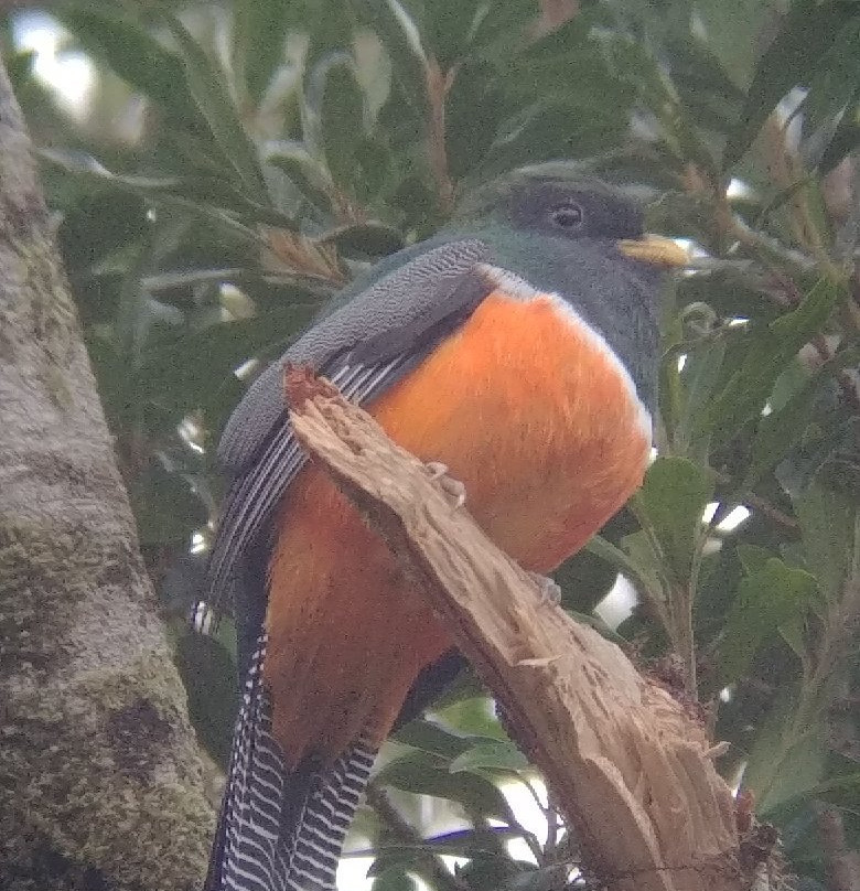 Costa Rica Wild Tours景点图片