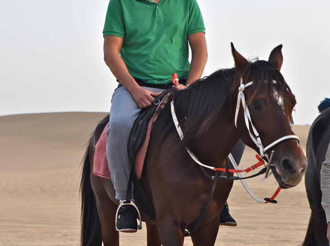 Overboard-吉达必去景点