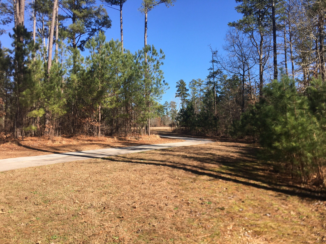 Deshong Park-石山必去景点