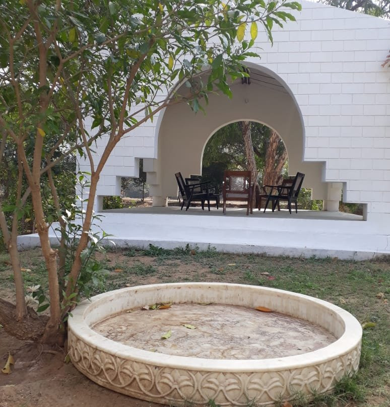 White Mushroom - Rissala Polo Tiger Camp主图