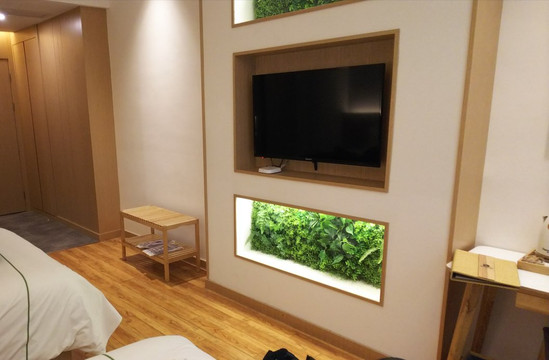 宾顿朗逸酒店(重庆解放碑洪崖洞店)主图