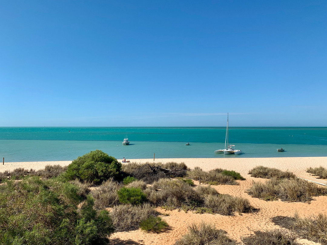 猴子美亚海滩度假村主图