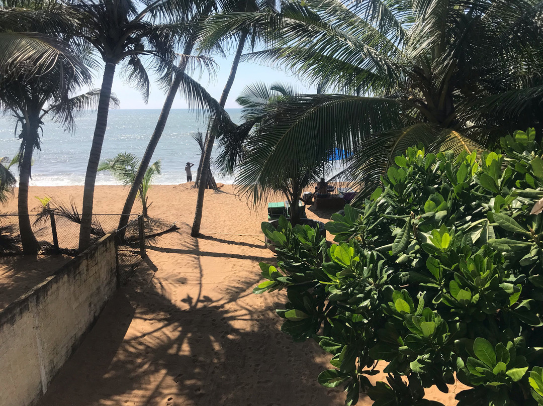 Hotel Coconut Bay主图