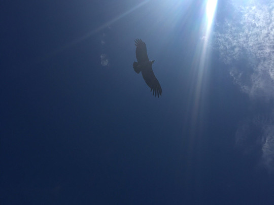 Observatorio Astronómico Bosque Alegre-Falda del Carmen必去景点