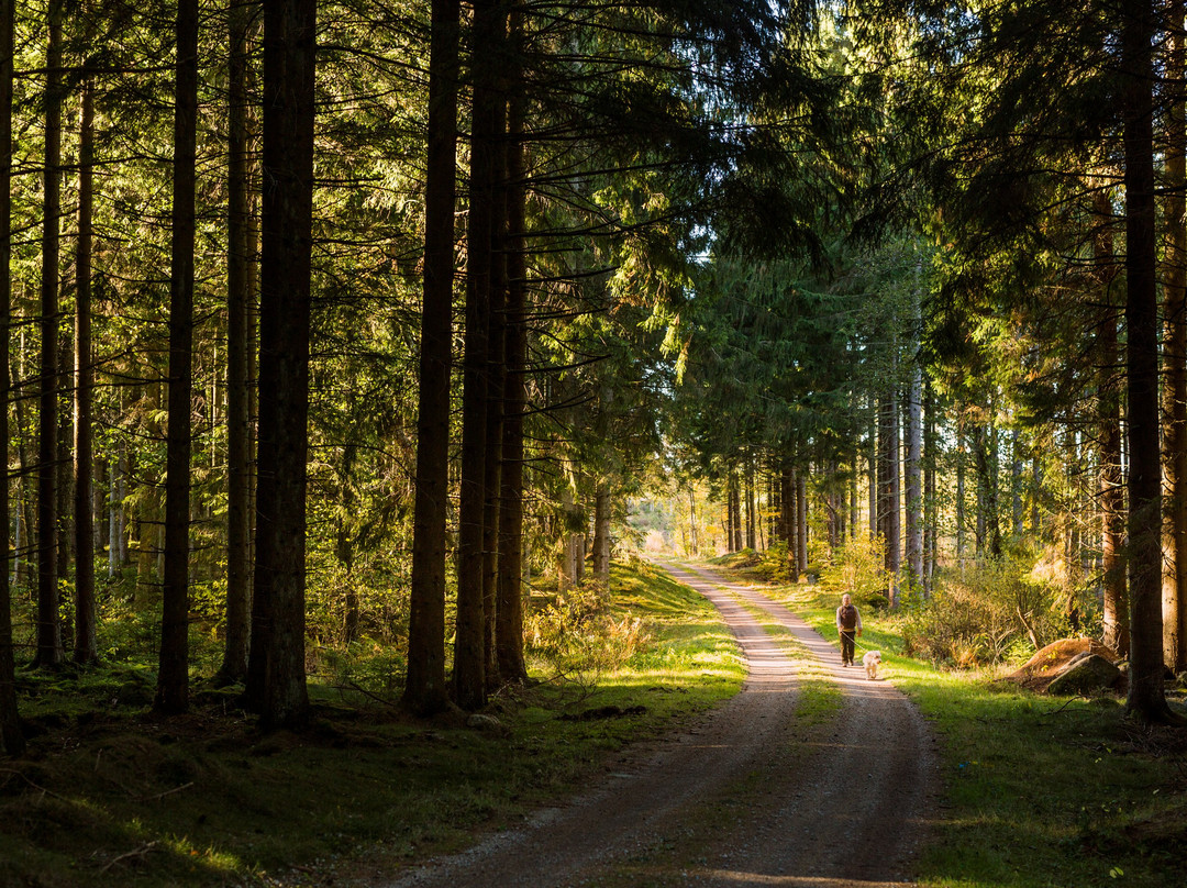 Skåneleden-斯科讷必去景点