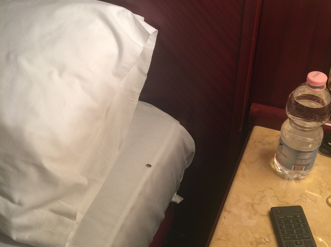 Albergo La Spia d'Italia主图
