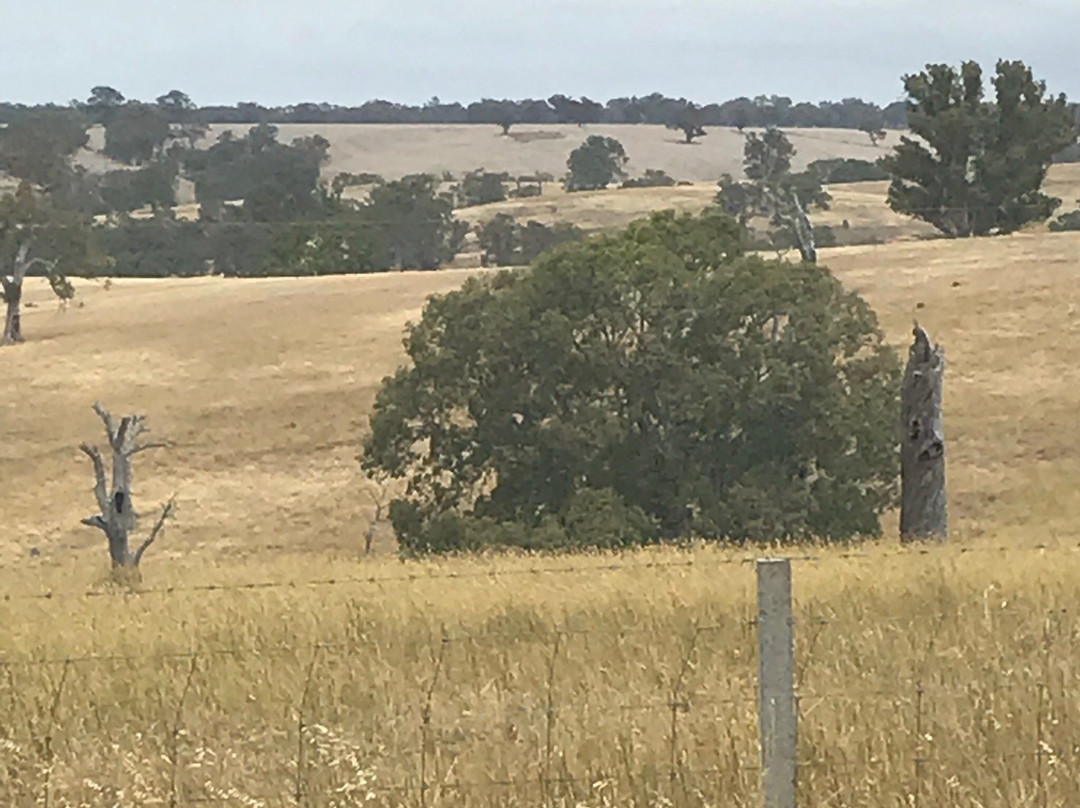 Harrow Cemetery-Harrow必去景点
