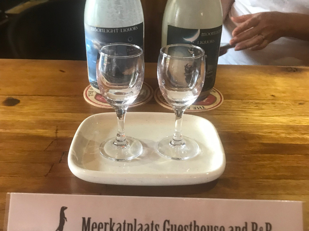 Meerkatplaats Guesthouse and B&B主图