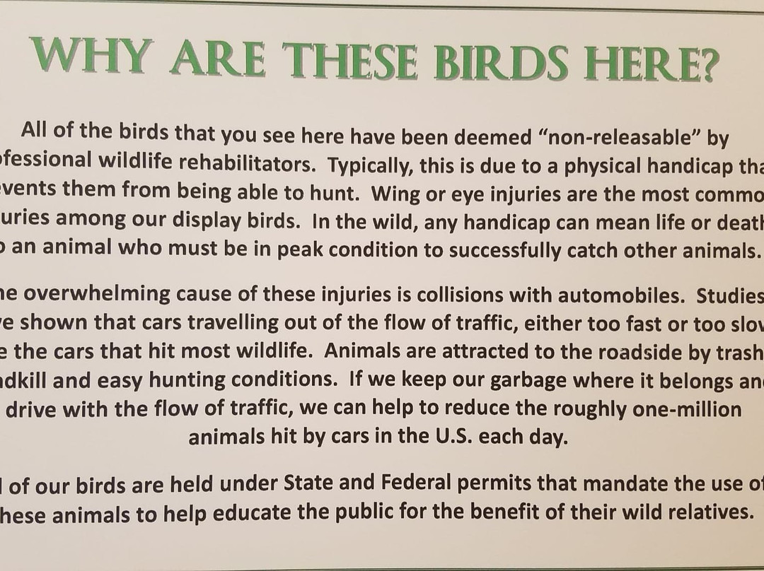 Southern Vermont Natural History Museum-Marlboro必去景点