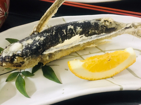 Sugisho-屋久岛町必去景点