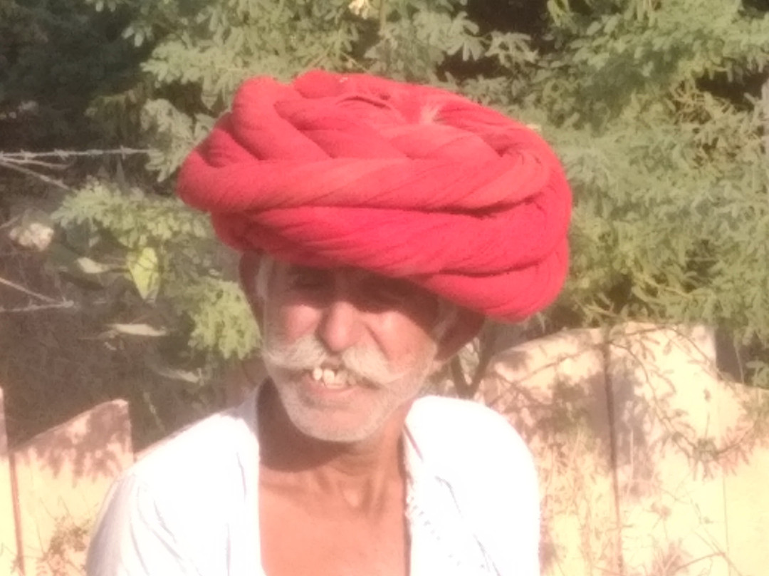 Ranakpur Adventures-拉那克普必去景点