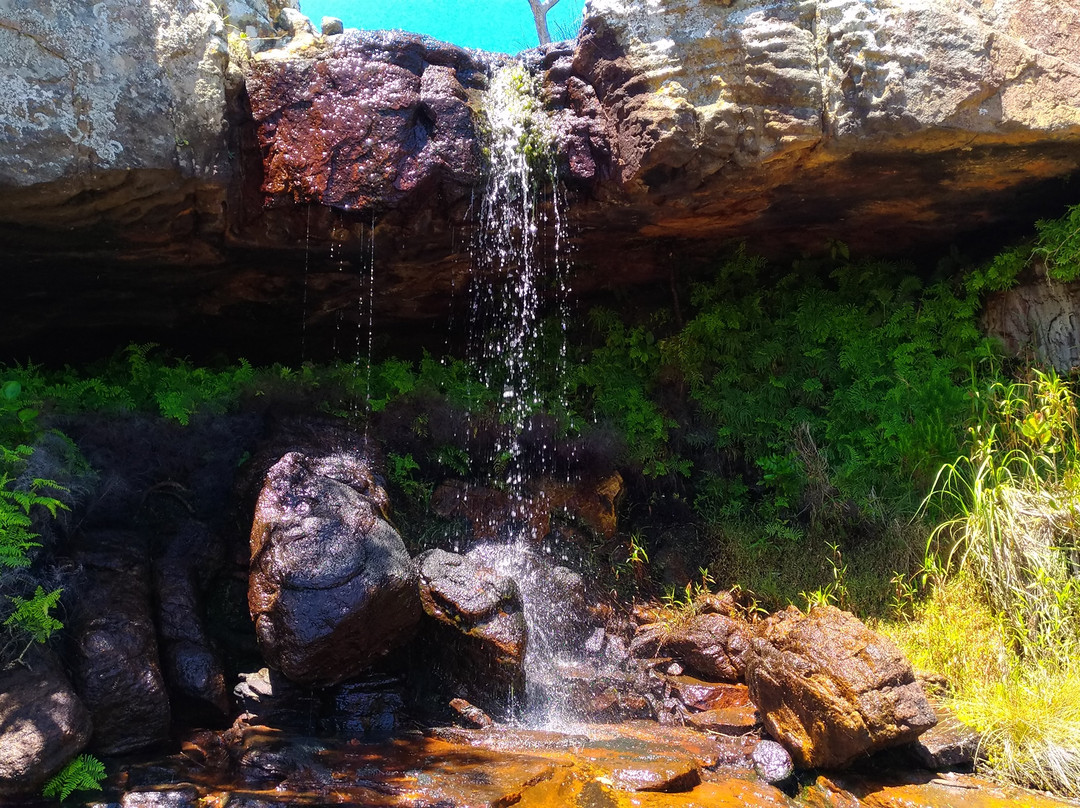 Clearwater Trails-Port Edward必去景点