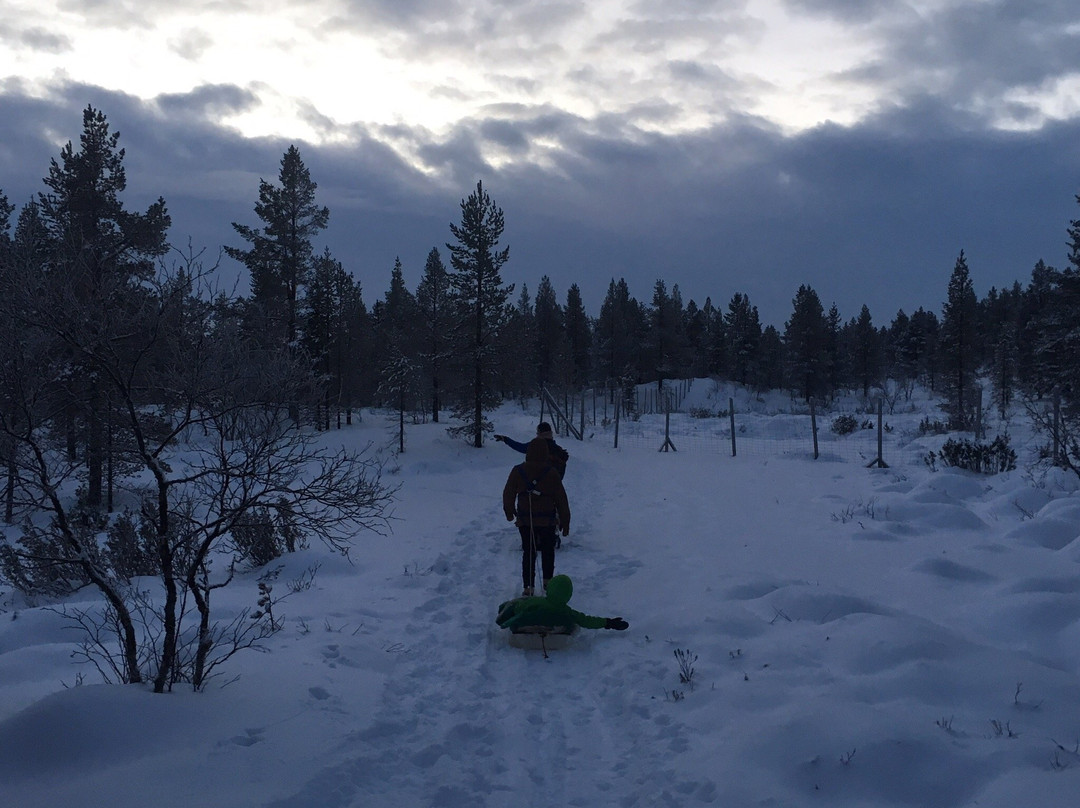 GoAhti Experience x Design x Food&drink-伊纳里必去景点