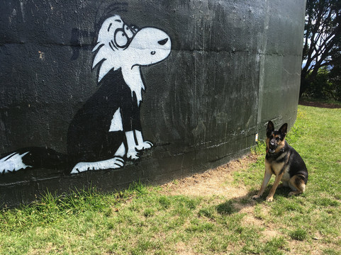 Big King Reserve-奥克兰必去景点