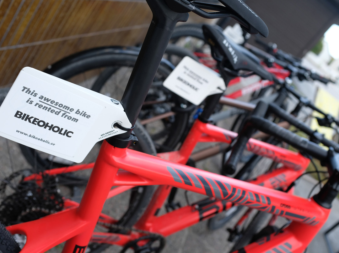 Bikeoholic