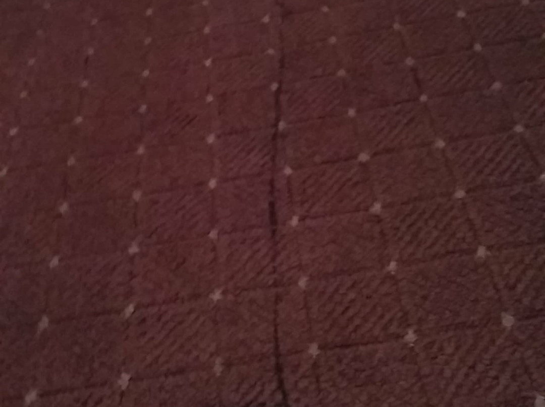 Hotel Zum Taunus主图