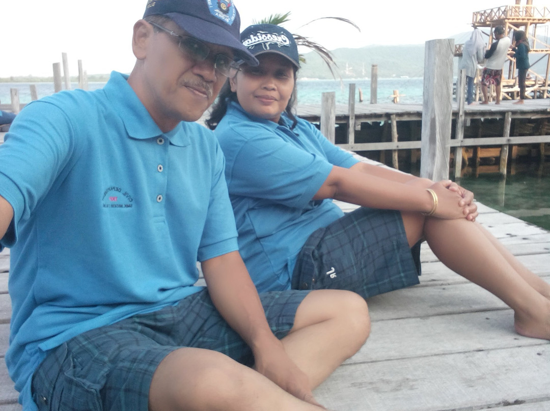 Dolphin Karimunjawa-卡里蒙加瓦必去景点